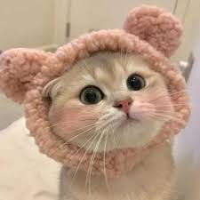 Huỳnh Thu Phương avatar